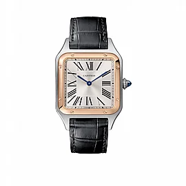 שעון קרטייה Cartier Santos-Dumont watch wgsa0021 שעון קרטייה Cartier Santos-Dumont watch wgsa0021