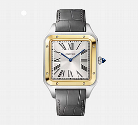שעון קרטייה לגבר Cartier Santos-Dumont Extra Large W2SA0034 שעון קרטייה לגבר Cartier Santos-Dumont Extra Large W2SA0034