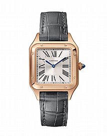 שעון קרטייה Cartier Santos-Dumont watch wgsa0021 שעון קרטייה Cartier Santos-Dumont watch wgsa0021