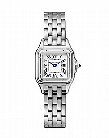 שעון קרטייה Cartier Santos-Dumont watch wgsa0022 שעון קרטייה Cartier Santos-Dumont watch wgsa0022